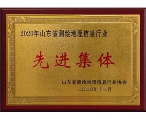 先進集體